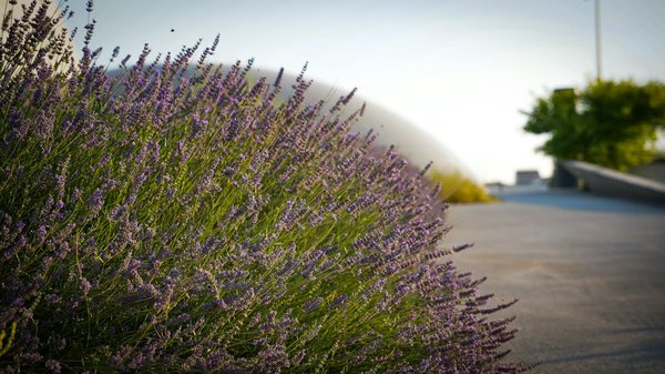 Welche Versicherungen sind für Immobilienbesitzer notwendig?